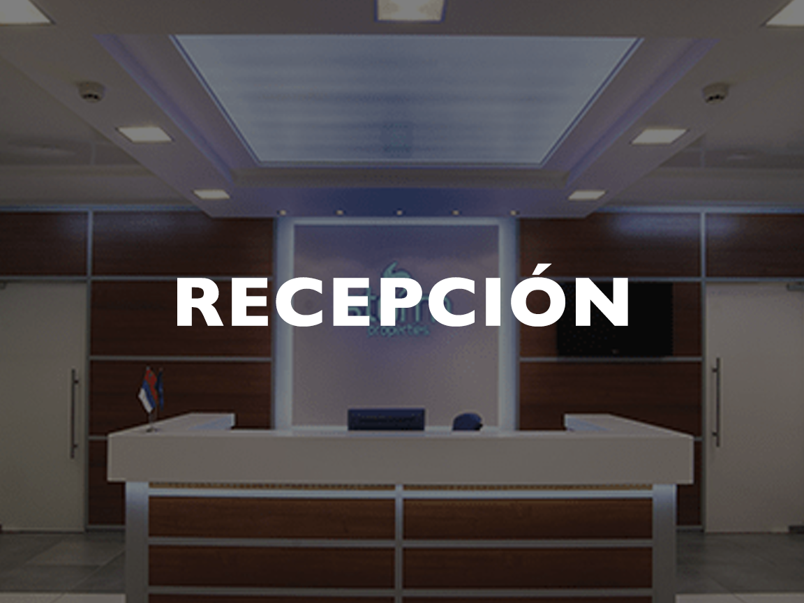 Recepcion